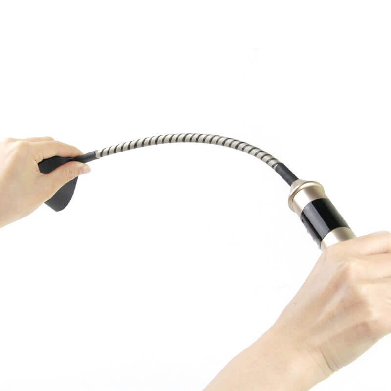 Roomfun Passionately Electric Whip SM